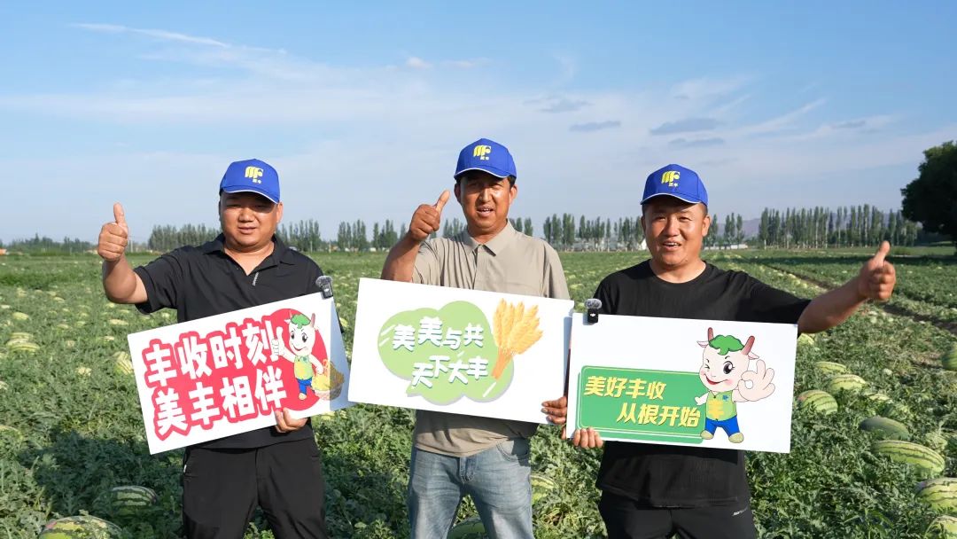 太阳集团肥助力硒砂瓜亩产过万斤